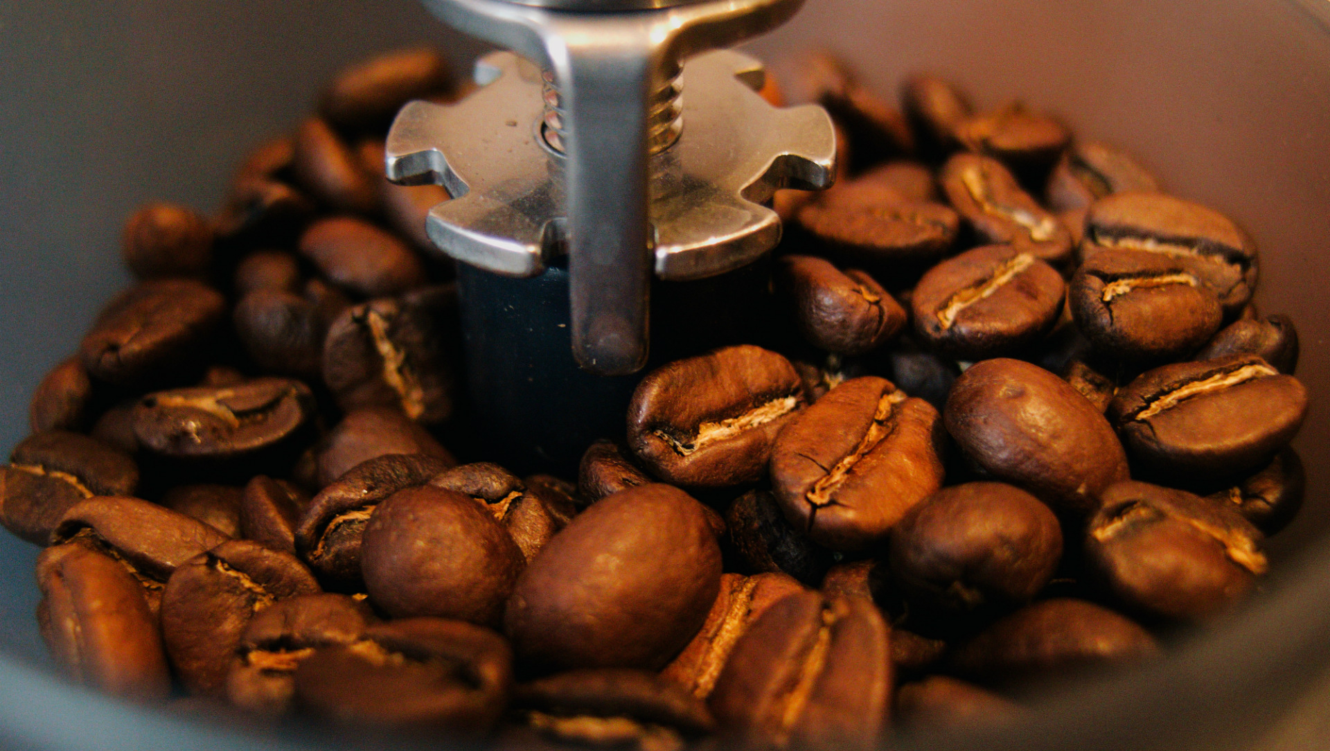 Grinder Detail, All About the Grind, FLTRgo, Travel Coffee Filter